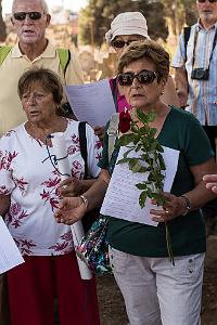 Oranie 2017-475